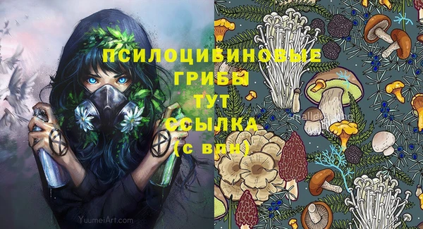 дмт Вязьма