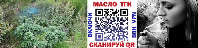 ТГК гашишное масло  Купить  Кемь 