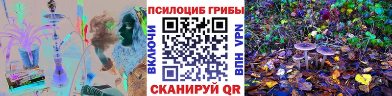Купить где  Кемь  Галлюциногенные грибы GOLDEN TEACHER 